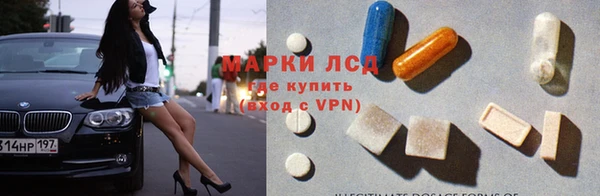 spice Алзамай