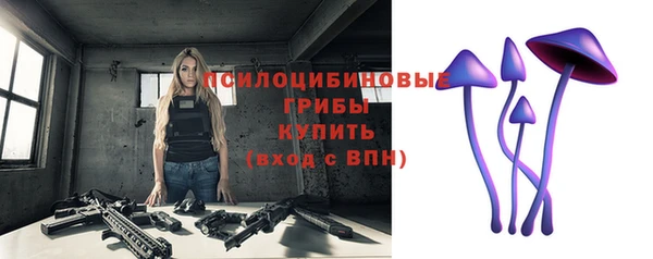 эйфоретик Алексин